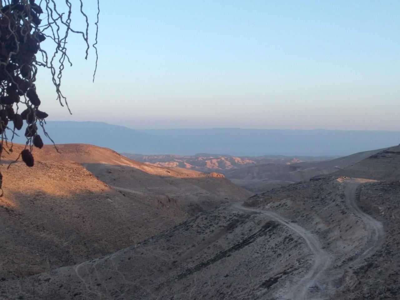 Dead Sea Desert'S Edge أراد المظهر الخارجي الصورة