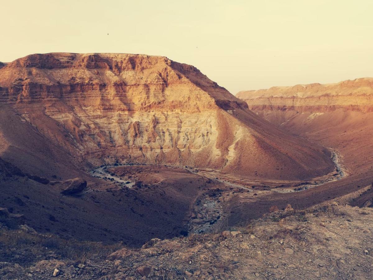 Dead Sea Desert'S Edge أراد المظهر الخارجي الصورة